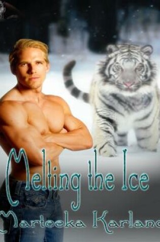 Cover of Melting the Ice