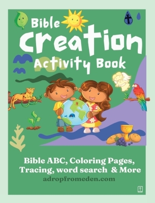 Book cover for Bible Creation Activity Book