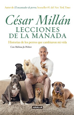 Book cover for Lecciones de la manada / Cesar Millan's Lessons From the Pack