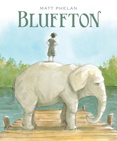 Book cover for Bluffton