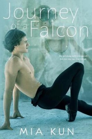 Cover of Journey of a Falcon