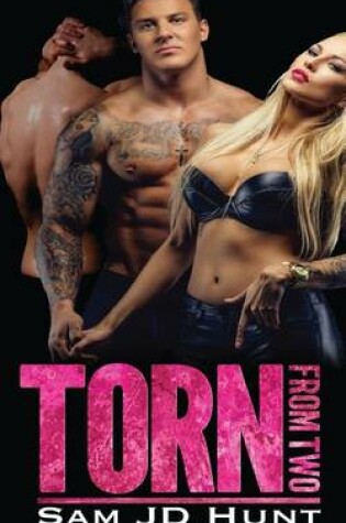 Cover of Torn from Two