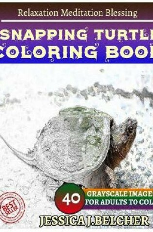 Cover of Snapping Turtle Coloring Books