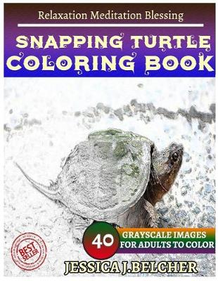 Book cover for Snapping Turtle Coloring Books