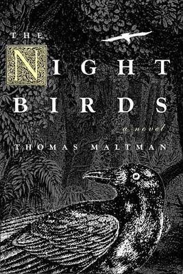 Book cover for Night Birds