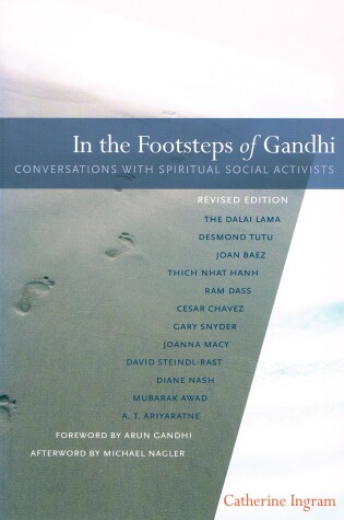 Cover of In the Footsteps of Gandhi