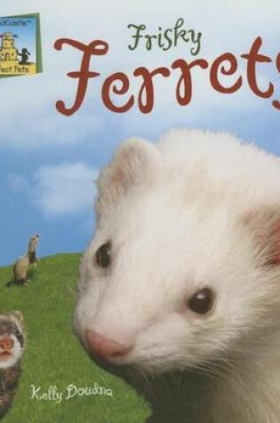 Cover of Frisky Ferrets