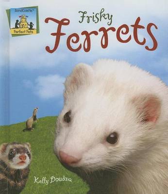 Cover of Frisky Ferrets