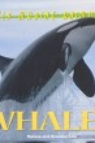 Cover of Whales