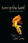 Book cover for Turn Up the Heat