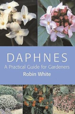 Cover of Daphnes