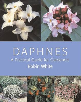 Book cover for Daphnes