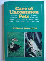 Book cover for Care of Uncommon Pets