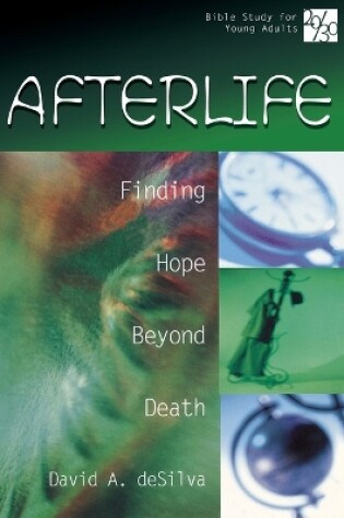 Cover of Afterlife