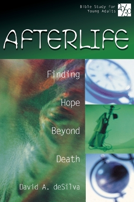 Book cover for Afterlife