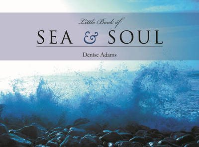Book cover for The Little Book of Sea and Soul