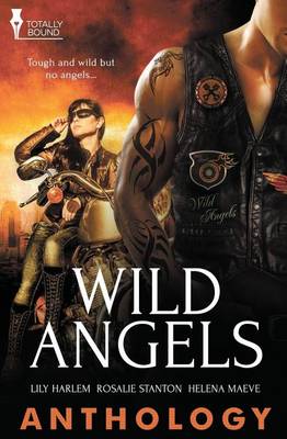 Book cover for Wild Angels