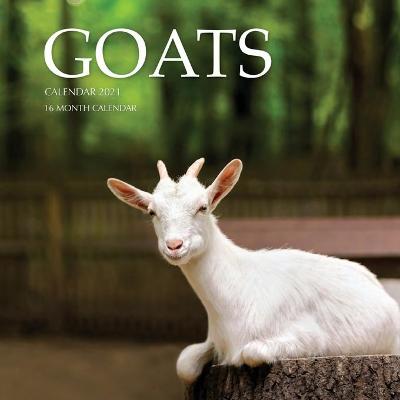 Book cover for Goats Calendar 2021