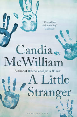 Book cover for A Little Stranger