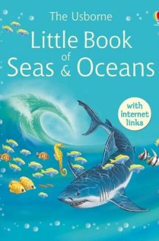 Cover of Little Book of Seas and Oceans