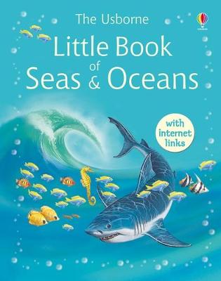 Book cover for Little Book of Seas and Oceans