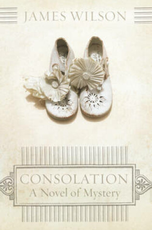 Cover of Consolation