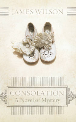 Book cover for Consolation