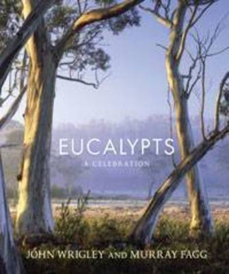 Book cover for Eucalypts