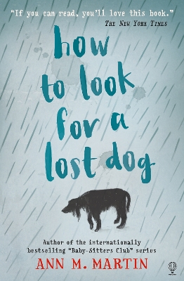 Book cover for How to Look for a Lost Dog