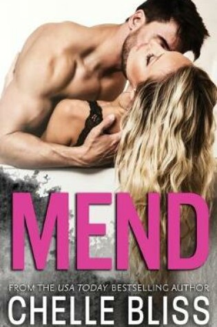 Cover of Mend
