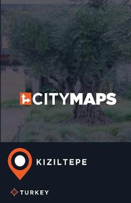 Book cover for City Maps Kiziltepe Turkey