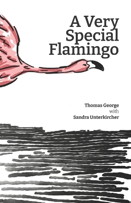 Book cover for A Very Special Flamingo