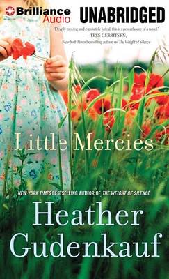 Book cover for Little Mercies