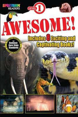 Cover of Awesome! Reader, Ages 3 - 6