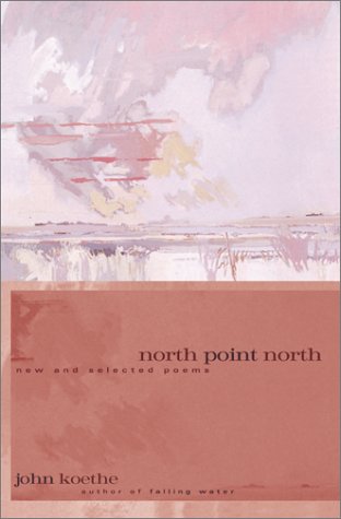 Book cover for North Point North HB