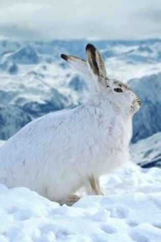 Cover of A White Mountain Hare in Winter Journal