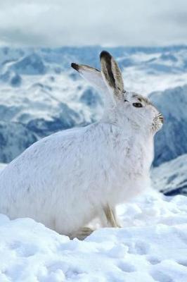 Book cover for A White Mountain Hare in Winter Journal