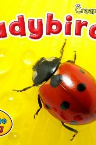 Cover of Ladybirds