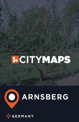 Book cover for City Maps Arnsberg Germany