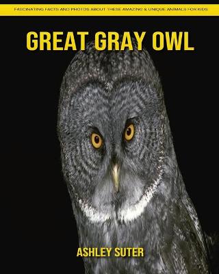 Book cover for Great Gray Owl