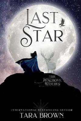 Book cover for The Last Star