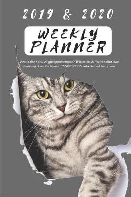 Book cover for 2019 & 2020 Weekly Planner What's That? You've Got Appointments? This Cat Says