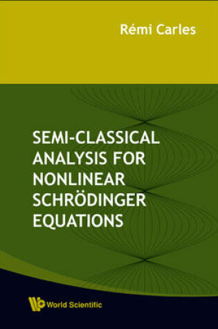 Cover of Semi-Classical Analysis for Nonlinear Schro Dinger Equations