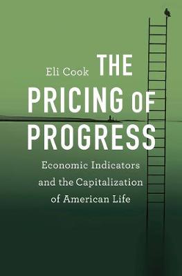 Book cover for The Pricing of Progress