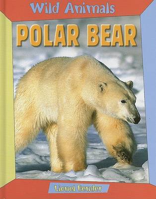 Cover of Polar Bear