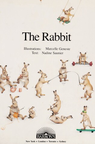 Cover of The Rabbit