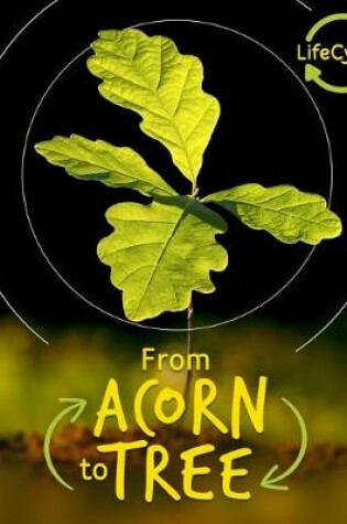 Cover of From Acorn to Tree