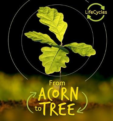 Cover of From Acorn to Tree