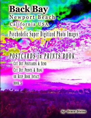 Book cover for Back Bay Newport Beach California USA Psychedelic Super Digitized Photo Images Postcards in Prints Book