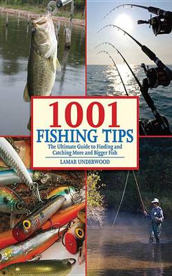 Book cover for 1001 Fishing Tips